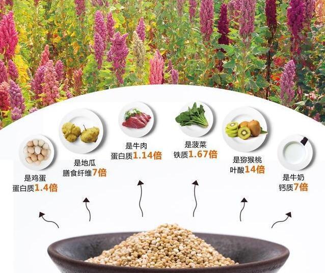 藜麦米